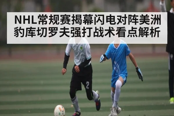NHL常规赛揭幕闪电对阵美洲豹库切罗夫强打战术看点解析