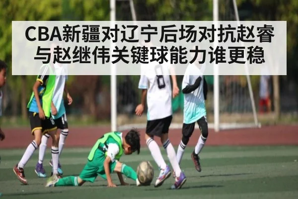 CBA新疆对辽宁后场对抗赵睿与赵继伟关键球能力谁更稳